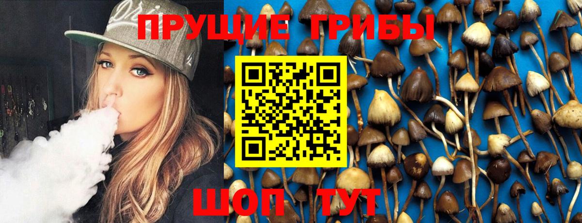 Галлюциногенные грибы GOLDEN TEACHER  Вход с VPN  Урюпинск 